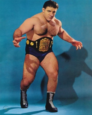 Bruno Sammartino